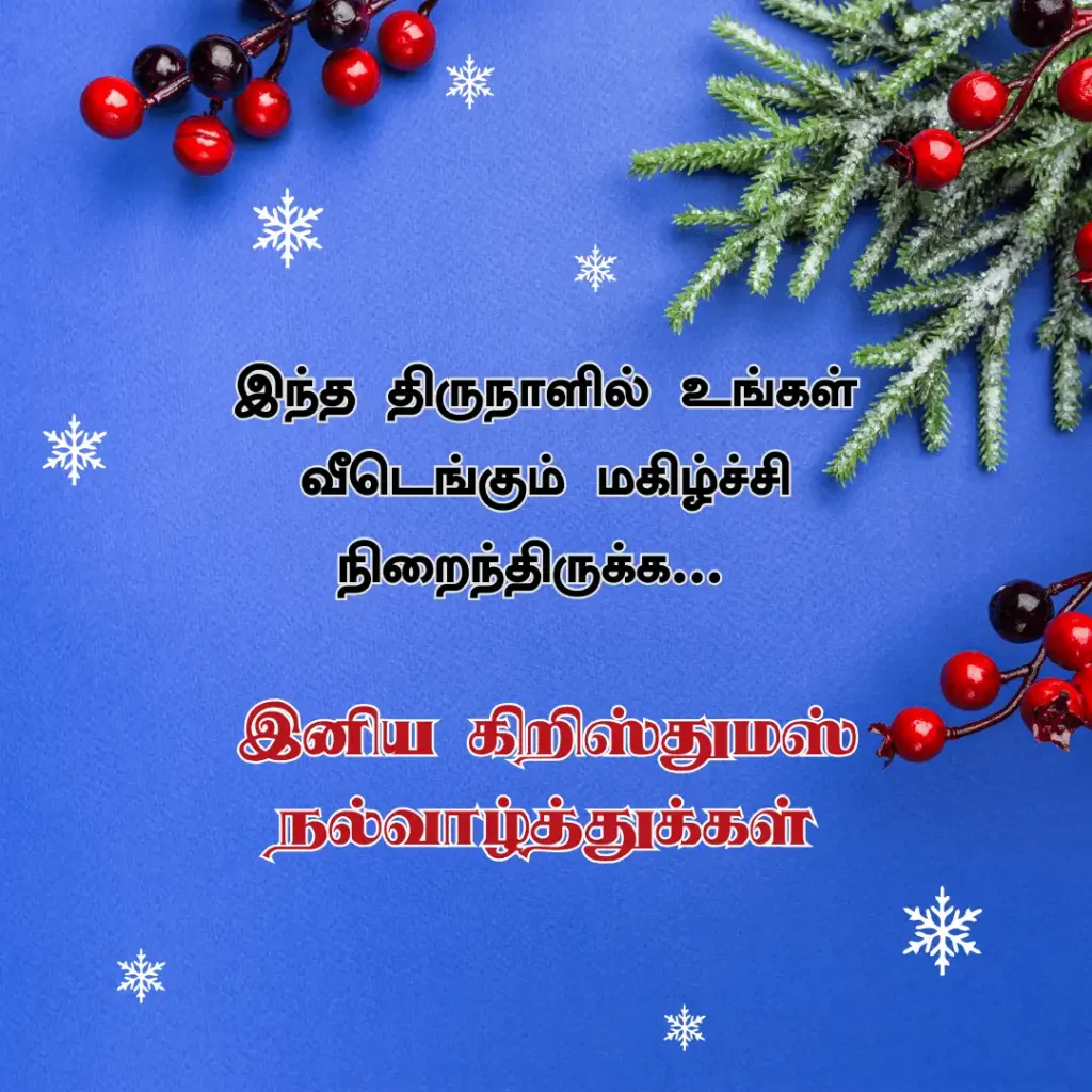 Christmas Wishes Quotes in Tamil
