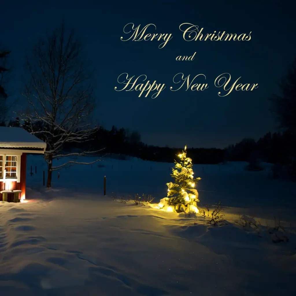 Happy Christmas and Happy New Year