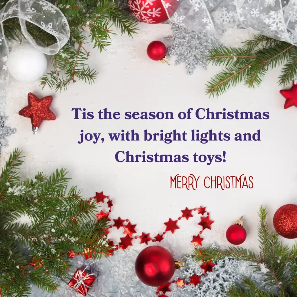 Merry Christmas Wishes for Family Quotes